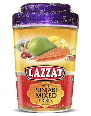 punjabi mixed